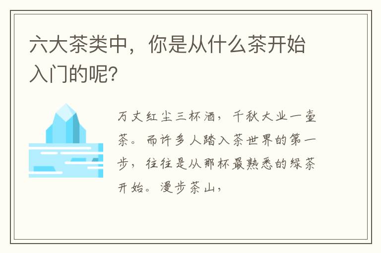 六大茶类中,你是从什么茶开始入门的呢?