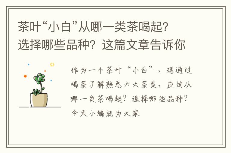 茶叶“小白”从哪一类茶喝起？选择哪些品种？这篇文章告诉你