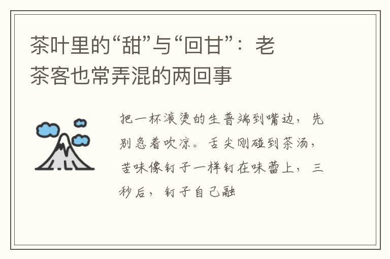 茶叶里的“甜”与“回甘”：老茶客也常弄混的两回事