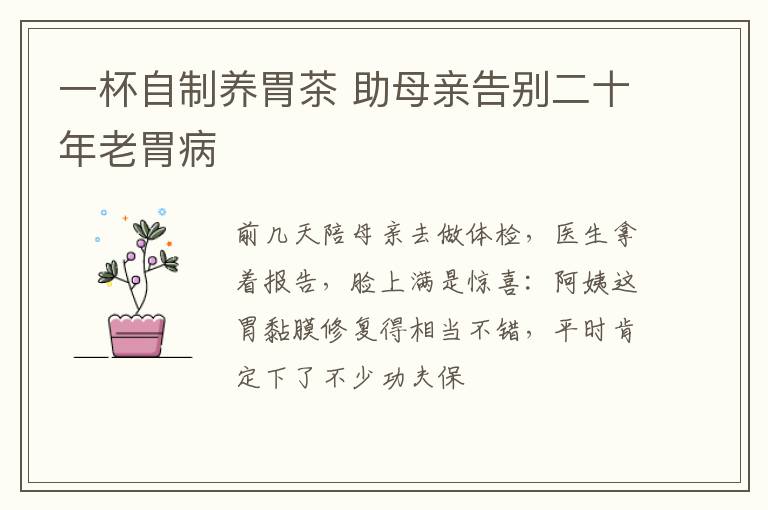 一杯自制养胃茶 助母亲告别二十年老胃病