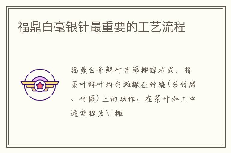 福鼎白毫银针最重要的工艺流程