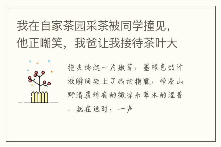 我在自家茶园采茶被同学撞见,他正嘲笑,我爸让我接待茶叶大王