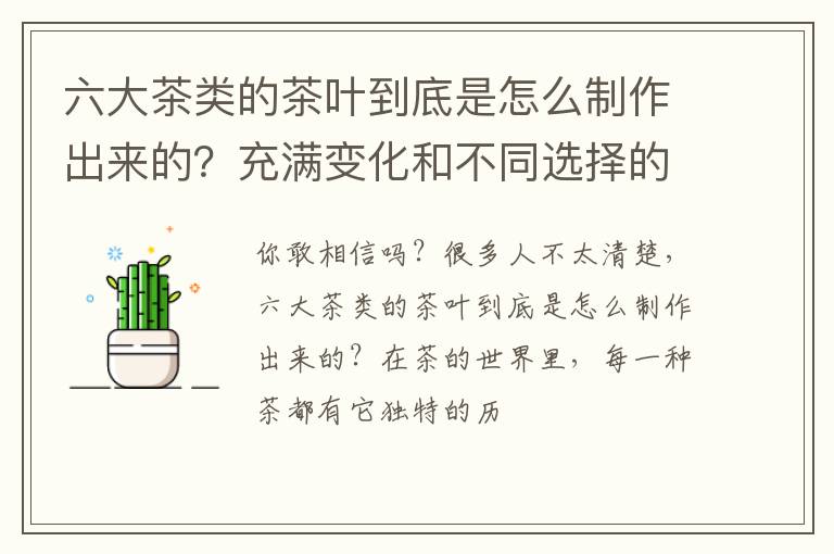 六大茶类的茶叶到底是怎么制作出来的？充满变化和不同选择的可能