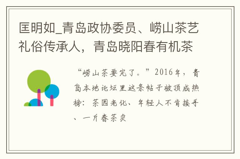 匡明如_青岛政协委员、崂山茶艺礼俗传承人,青岛晓阳春有机茶