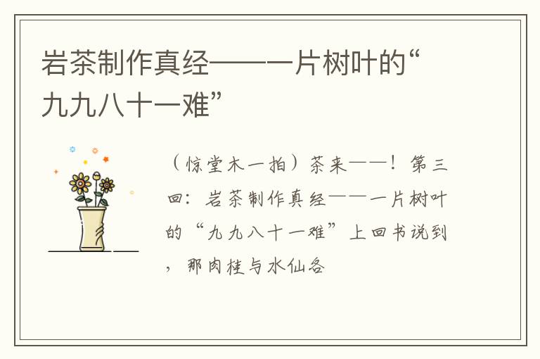 岩茶制作真经——一片树叶的“九九八十一难”