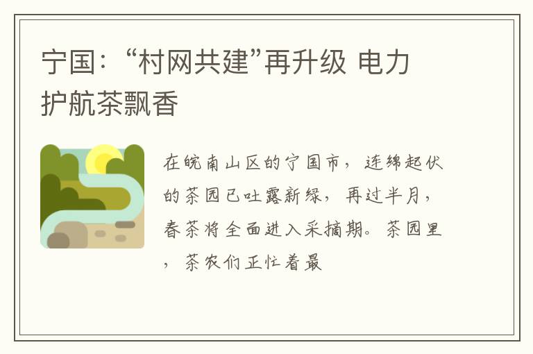 宁国：“村网共建”再升级 电力护航茶飘香