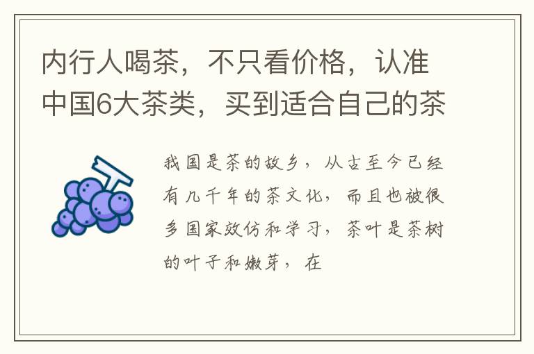 内行人喝茶,不只看价格,认准中国6大茶类,买到适合自己的茶