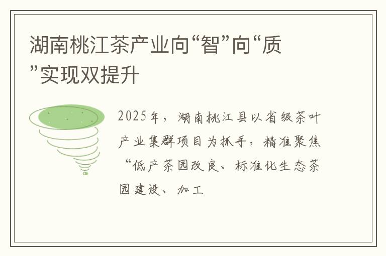 湖南桃江茶产业向“智”向“质”实现双提升