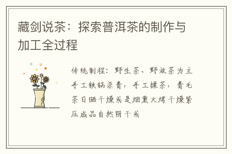 藏剑说茶：探索普洱茶的制作与加工全过程