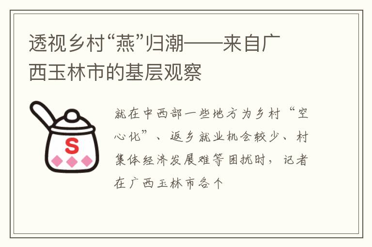 透视乡村“燕”归潮——来自广西玉林市的基层观察