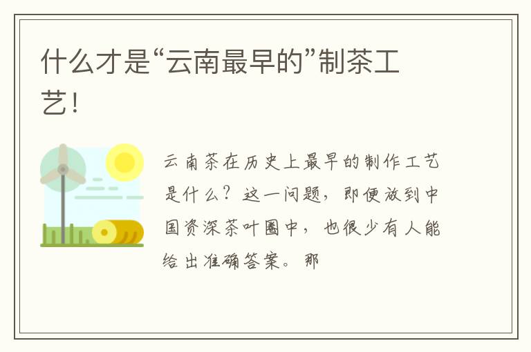 什么才是“云南最早的”制茶工艺！