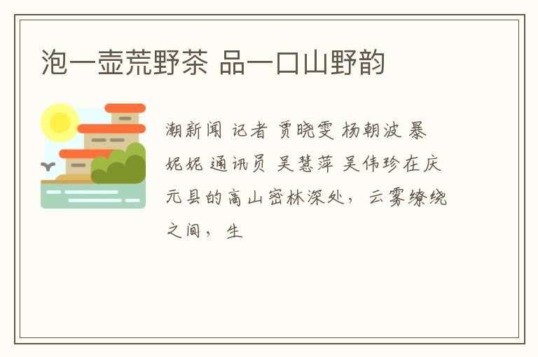 泡一壶荒野茶 品一口山野韵