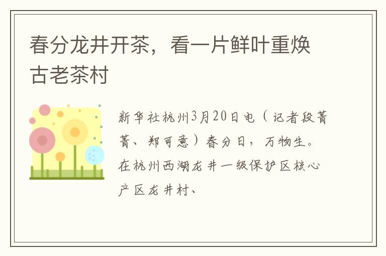 春分龙井开茶，看一片鲜叶重焕古老茶村