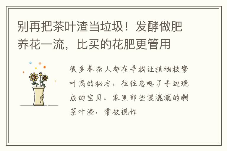 别再把茶叶渣当垃圾！发酵做肥养花一流，比买的花肥更管用