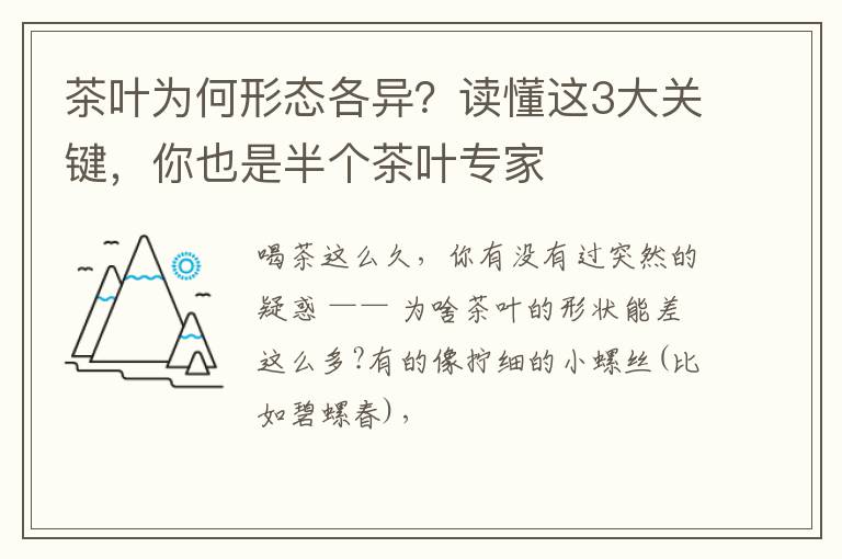 茶叶为何形态各异?读懂这3大关键,你也是半个茶叶专家