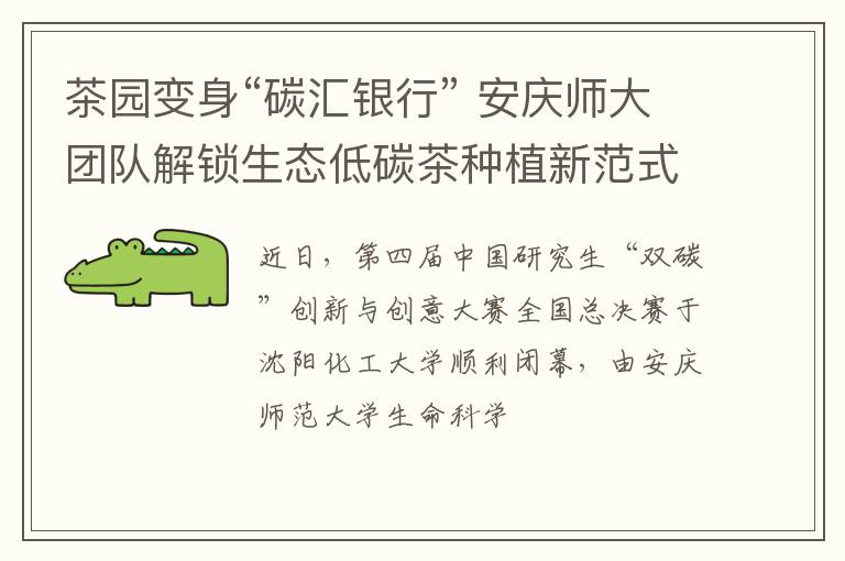 茶园变身“碳汇银行” 安庆师大团队解锁生态低碳茶种植新范式