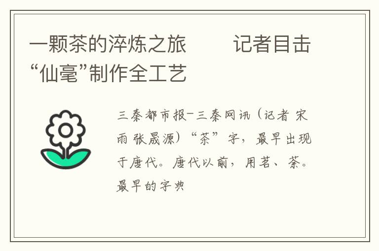一颗茶的淬炼之旅﻿﻿ 记者目击“仙毫”制作全工艺