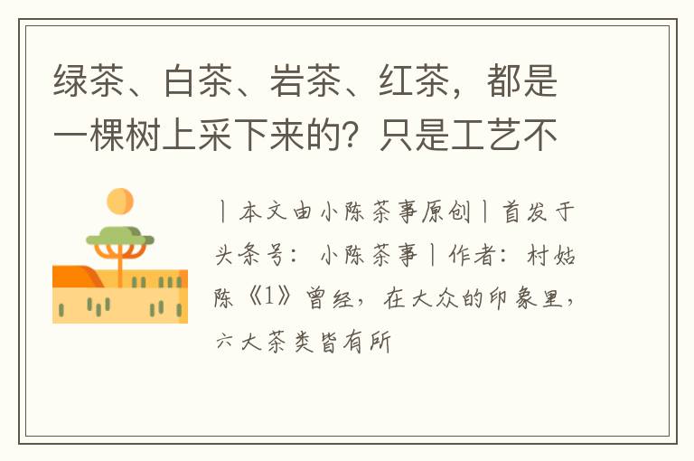 绿茶、白茶、岩茶、红茶，都是一棵树上采下来的？只是工艺不同？