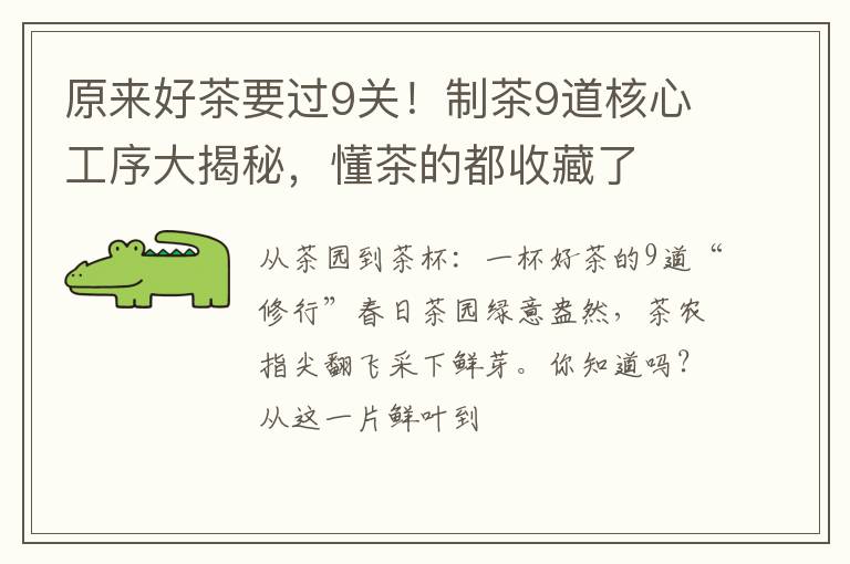 原来好茶要过9关！制茶9道核心工序大揭秘，懂茶的都收藏了