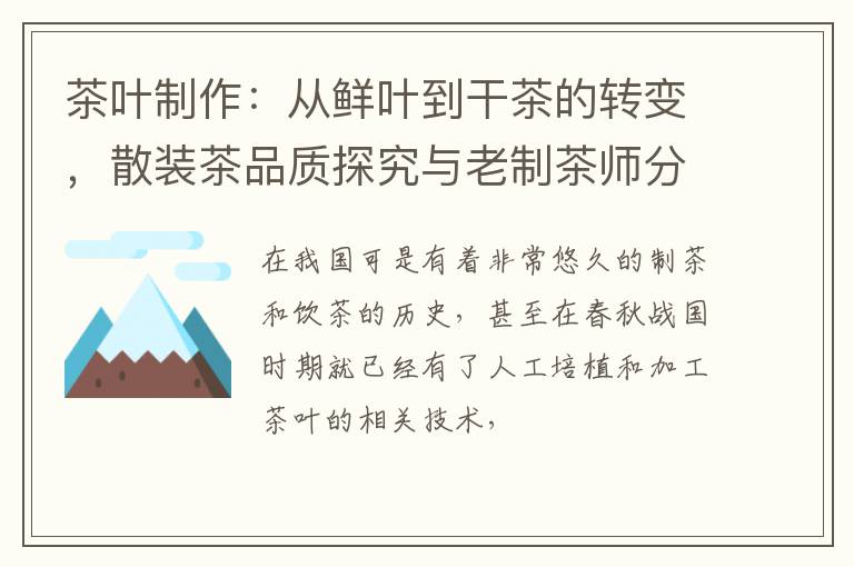 茶叶制作:从鲜叶到干茶的转变,散装茶品质探究与老制茶师分享