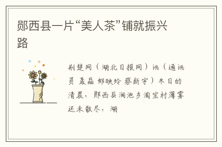 郧西县一片“美人茶”铺就振兴路