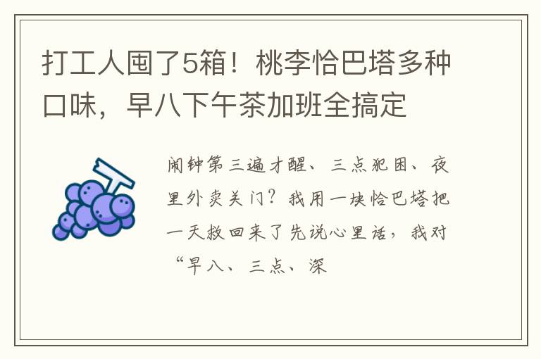 打工人囤了5箱！桃李恰巴塔多种口味，早八下午茶加班全搞定