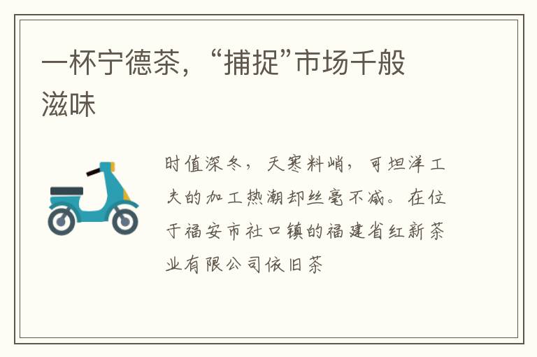 一杯宁德茶，“捕捉”市场千般滋味