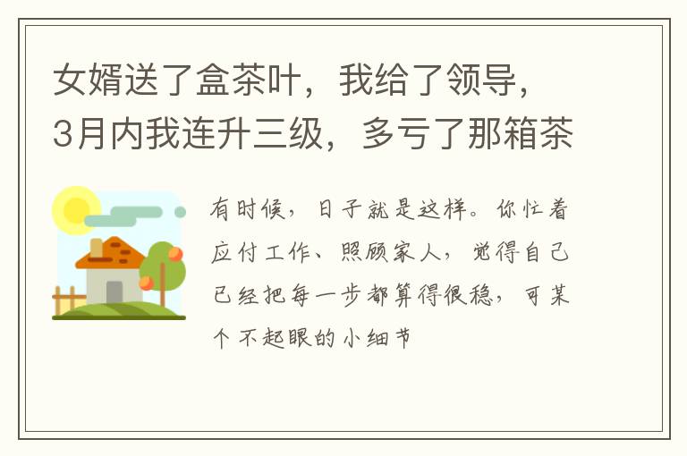 女婿送了盒茶叶，我给了领导，3月内我连升三级，多亏了那箱茶叶
