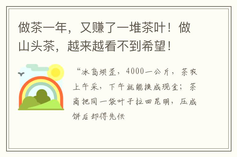 做茶一年，又赚了一堆茶叶！做山头茶，越来越看不到希望！