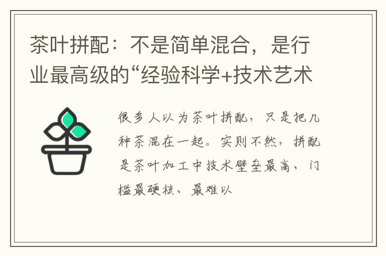 茶叶拼配：不是简单混合，是行业最高级的“经验科学+技术艺术”