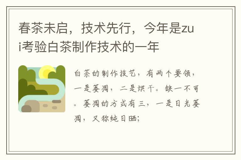 春茶未启,技术先行,今年是zui考验白茶制作技术的一年