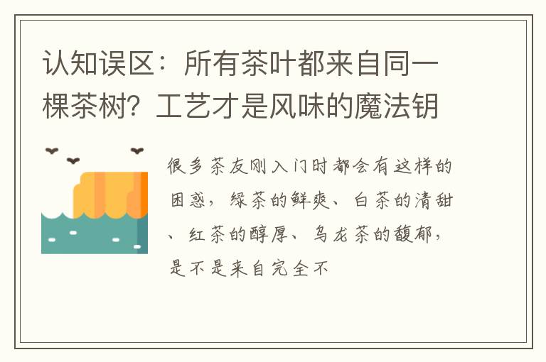 认知误区：所有茶叶都来自同一棵茶树？工艺才是风味的魔法钥匙