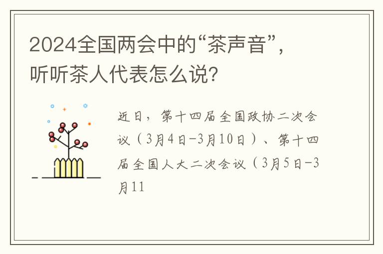 2024全国两会中的“茶声音”，听听茶人代表怎么说？