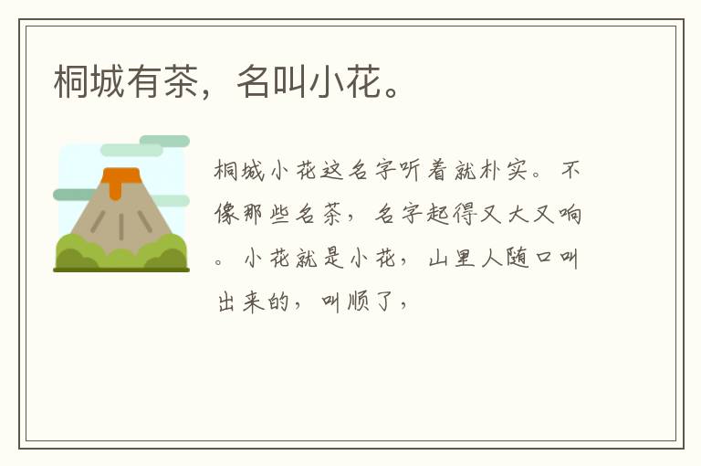 桐城有茶，名叫小花。