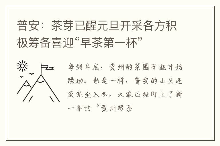 普安：茶芽已醒元旦开采各方积极筹备喜迎“早茶第一杯”