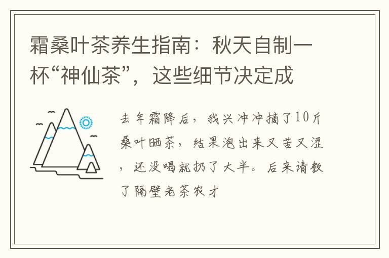 霜桑叶茶养生指南:秋天自制一杯“神仙茶”,这些细节决定成败!