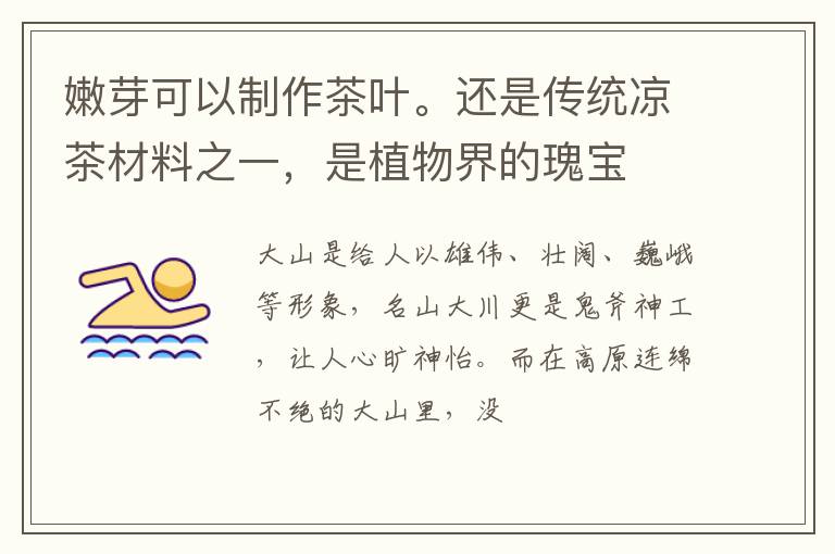 嫩芽可以制作茶叶。还是传统凉茶材料之一，是植物界的瑰宝