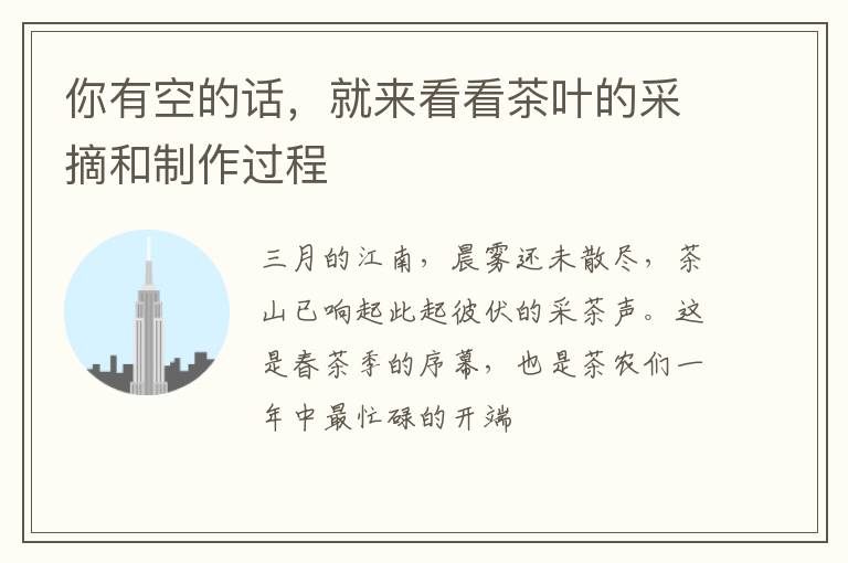 你有空的话,就来看看茶叶的采摘和制作过程