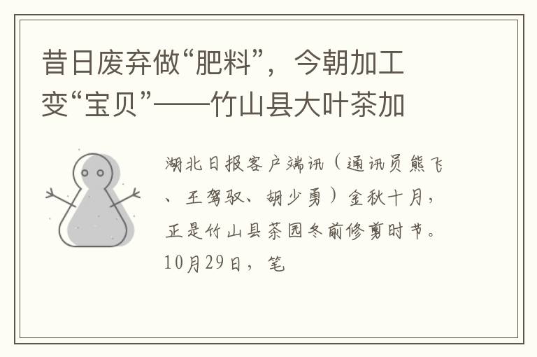 昔日废弃做“肥料”，今朝加工变“宝贝”——竹山县大叶茶加工助茶产业提质增效