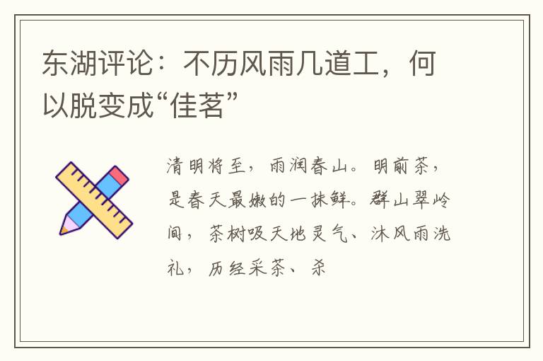 东湖评论:不历风雨几道工,何以脱变成“佳茗”