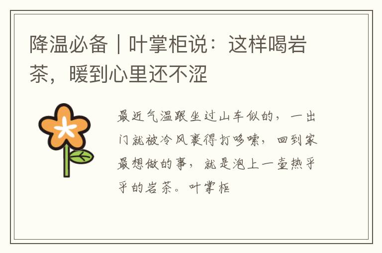 降温必备｜叶掌柜说：这样喝岩茶，暖到心里还不涩​