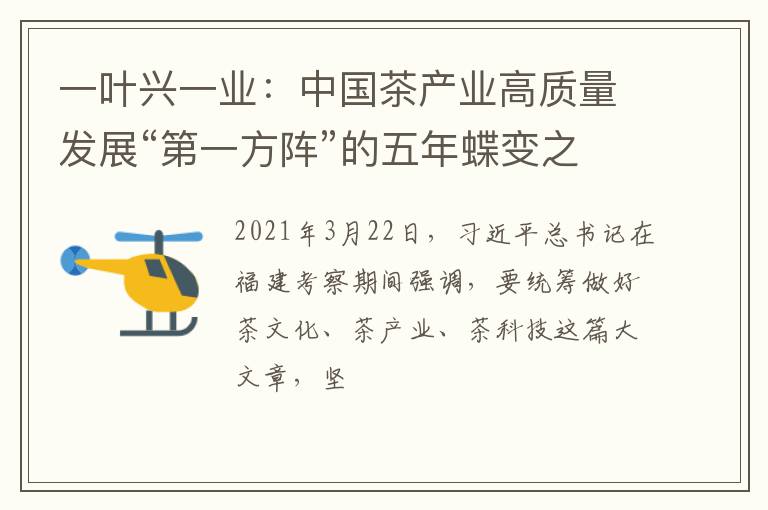 一叶兴一业：中国茶产业高质量发展“第一方阵”的五年蝶变之路