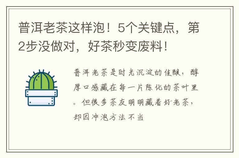 普洱老茶这样泡！5个关键点，第2步没做对，好茶秒变废料！