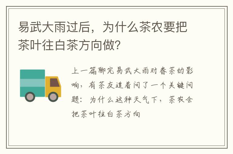 易武大雨过后，为什么茶农要把茶叶往白茶方向做？