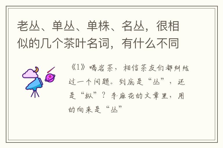 老丛、单丛、单株、名丛，很相似的几个茶叶名词，有什么不同？