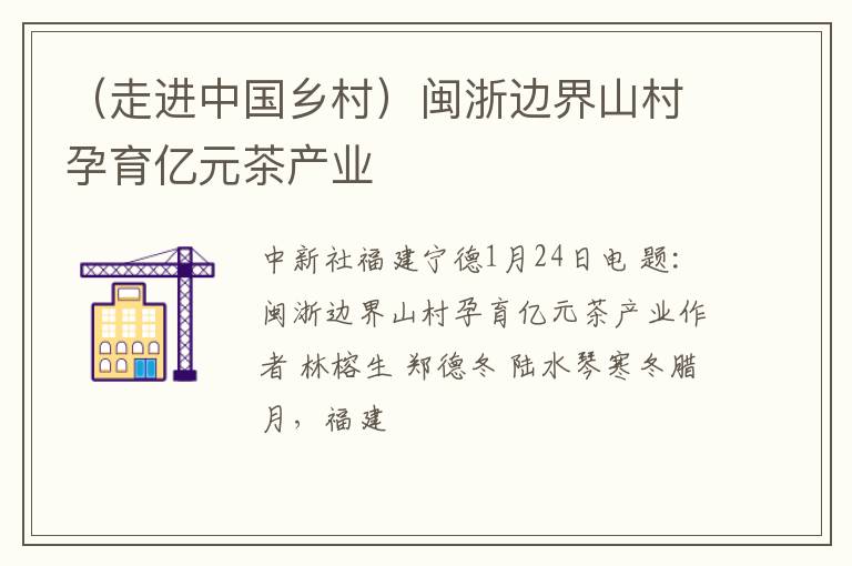 （走进中国乡村）闽浙边界山村孕育亿元茶产业