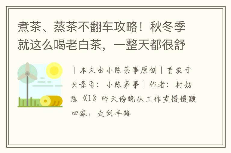 煮茶、蒸茶不翻车攻略！秋冬季就这么喝老白茶，一整天都很舒服