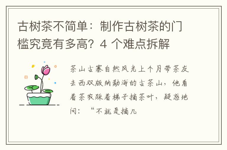 古树茶不简单:制作古树茶的门槛究竟有多高?4 个难点拆解