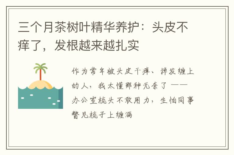 三个月茶树叶精华养护：头皮不痒了，发根越来越扎实