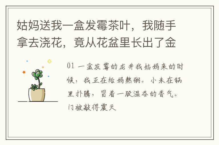姑妈送我一盒发霉茶叶，我随手拿去浇花，竟从花盆里长出了金条。